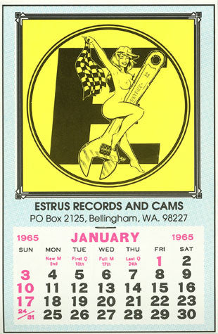 Various : Estrus Gearbox (CD, Comp + Box)