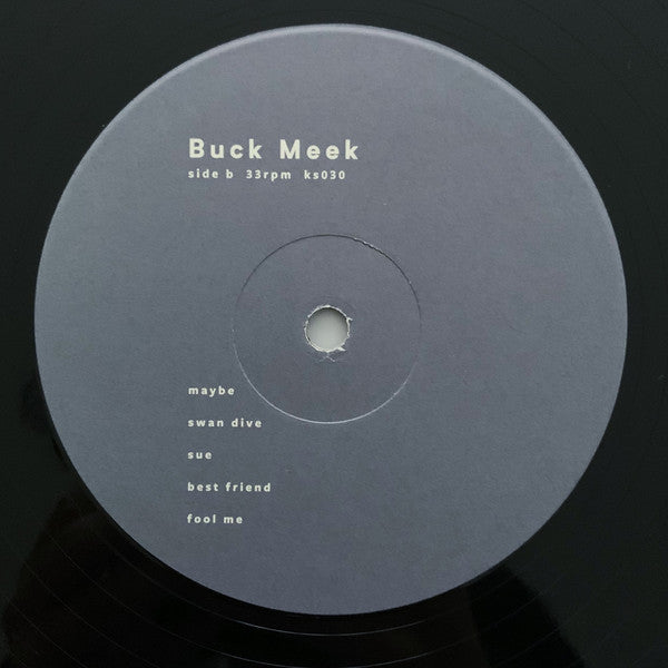 Buck Meek : Buck Meek (LP, Album)