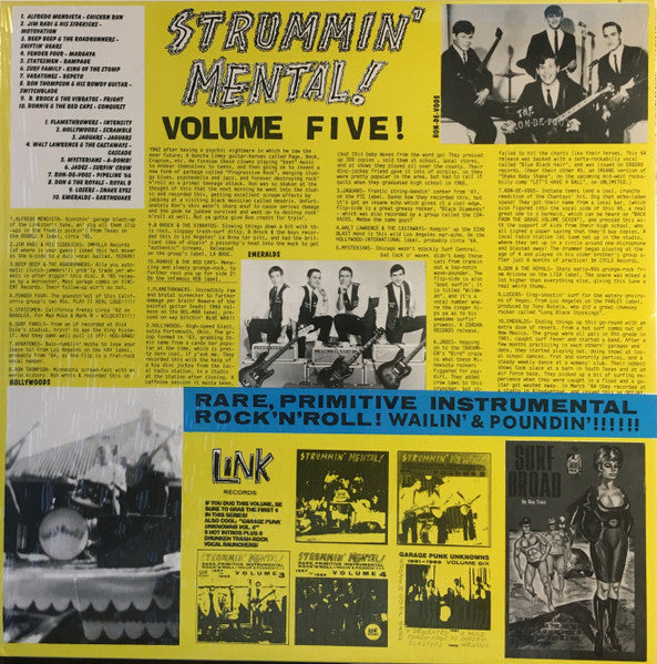 Various : Strummin' Mental! Volume Five! (LP, Comp, Whi)