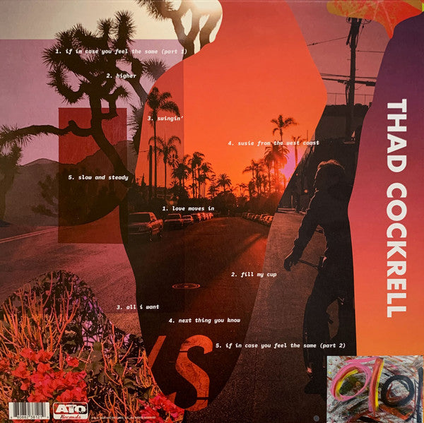 Thad Cockrell : If In Case You Feel The Same (LP, Album, Pin)