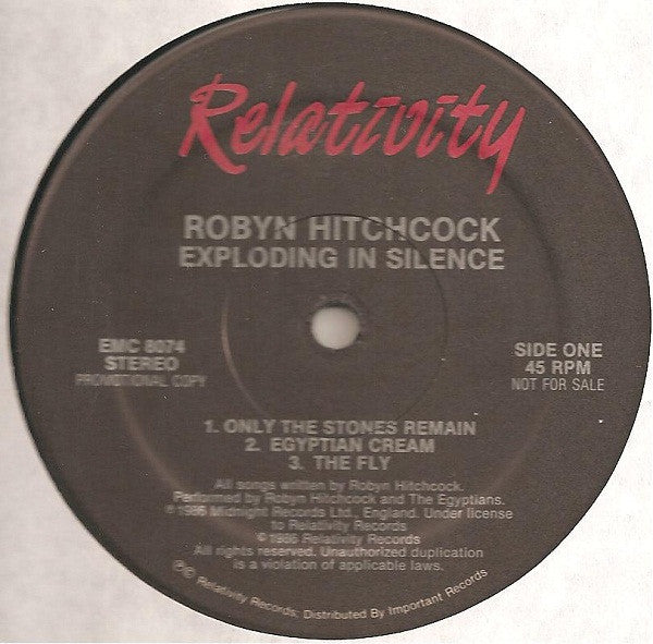 Robyn Hitchcock : Exploding In Silence (12", Promo)