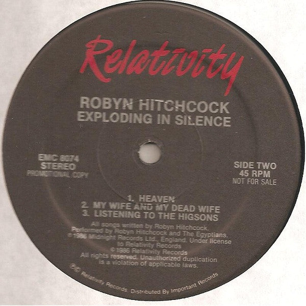 Robyn Hitchcock : Exploding In Silence (12", Promo)