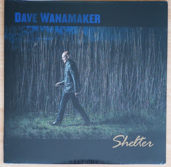 Dave Wanamaker : Shelter (LP, Album)