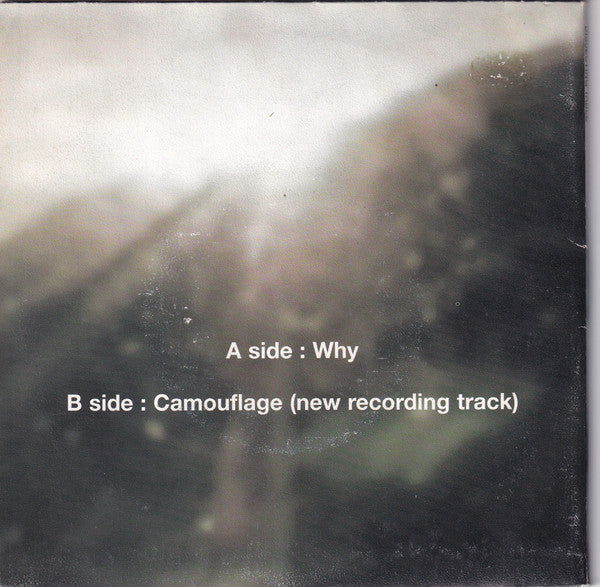 Dissecting Table : Why (7", Ltd)