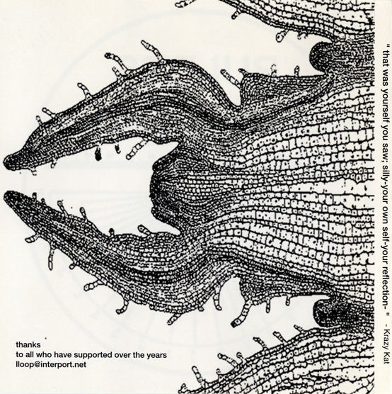 Lloop : Bulbbs (CD, Album, Mixed)