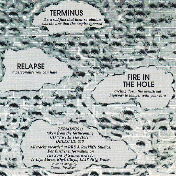 Sons Of Selina : Terminus (CD, EP)