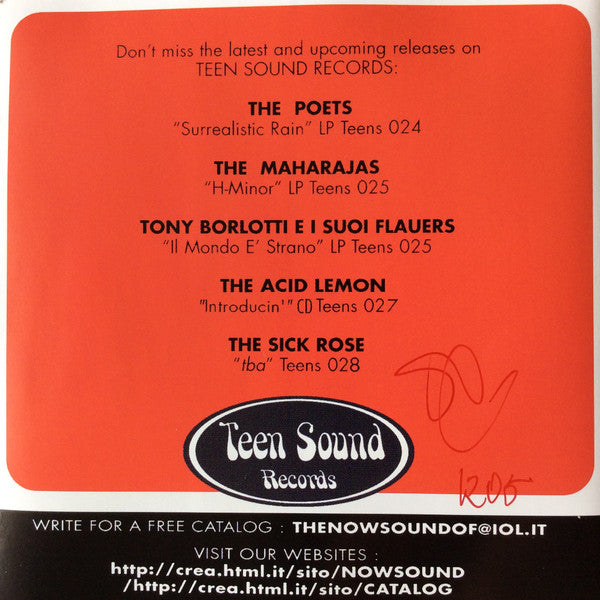 The Indikation : In Terms Of... (CD, Mono)