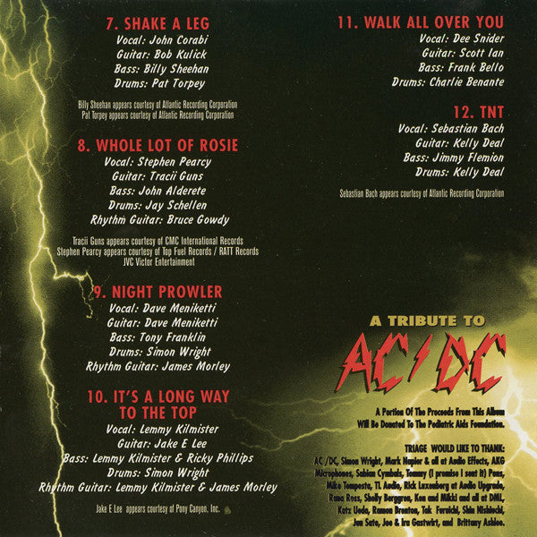 Various : Thunderbolt - A Tribute To AC/DC (CD)