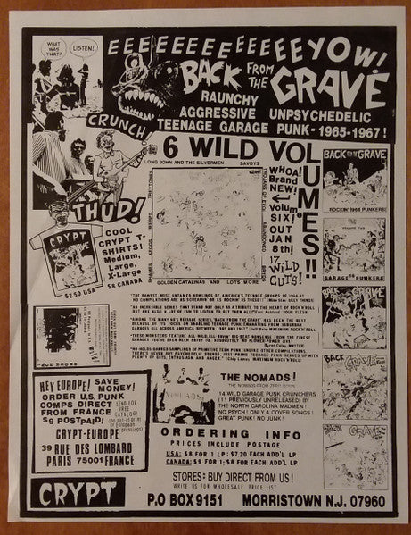 Various : Back From The Grave Volume Four (LP, Comp)