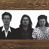 Pony (2) : Cosmovalidator (CD, Album)