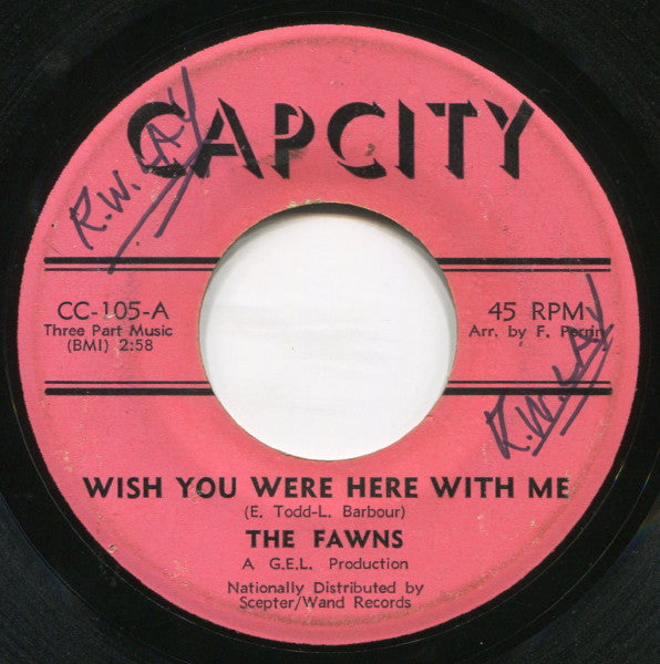The Fawns : Wish You Were Here With Me / Nothing But Love Can Save Me (7")