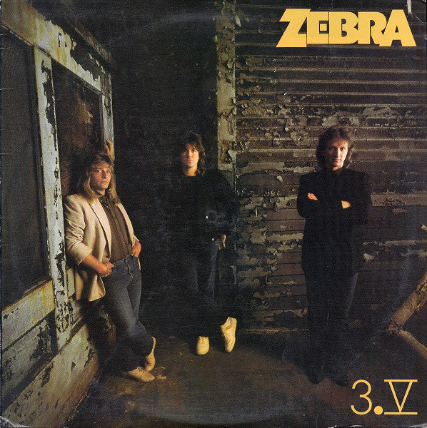 3.V - Zebra (8)