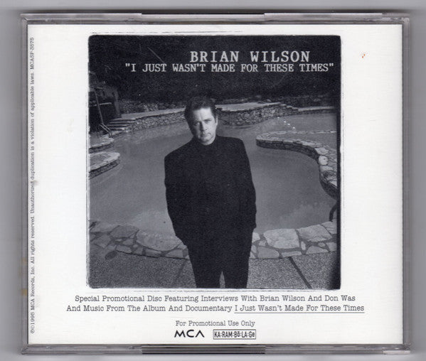I Just Wasn't Made For These Times - Brian Wilson