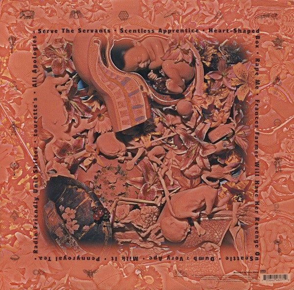 Nirvana – In Utero
