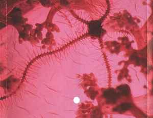 Medicine (2) – The Buried Life