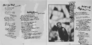 Siouxsie And The Banshees* – Hyæna