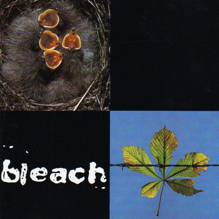 Bleach (3) – Bleach