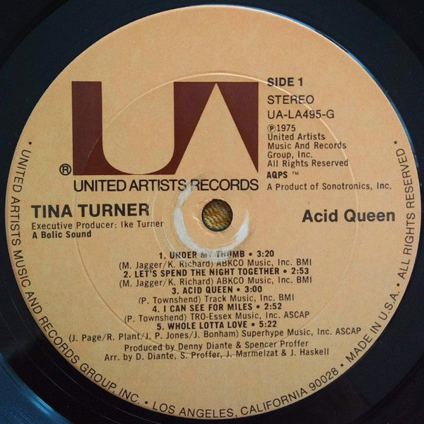 Tina Turner – Acid Queen
