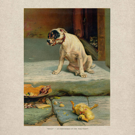 Oh, Are They? - Guilt