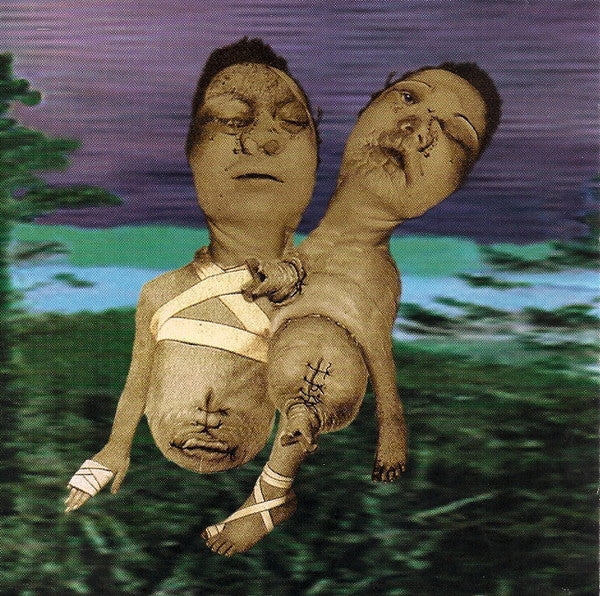Pigface : Fook (CD, Album)