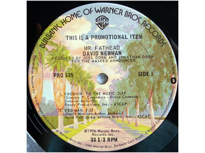 David Newman* : Mr. Fathead (12", EP, Promo, Smplr)