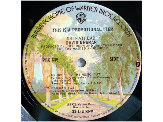 David Newman* : Mr. Fathead (12", EP, Promo, Smplr)