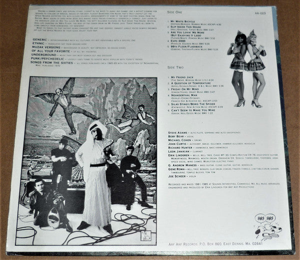 The Space Negros : Do Generic Ethnic Muzak Versions Of All Your Favorite Underground Punk/Psychedelic Songs Of The Sixties (LP, Album)