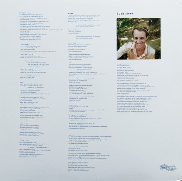 Buck Meek : Buck Meek (LP, Album)