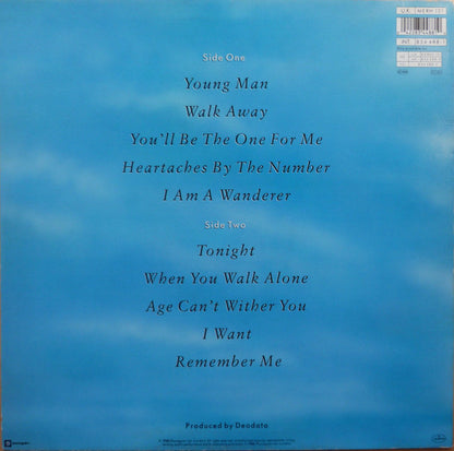 Kevin Rowland : The Wanderer (LP, Album)