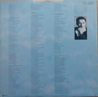 Kevin Rowland : The Wanderer (LP, Album)