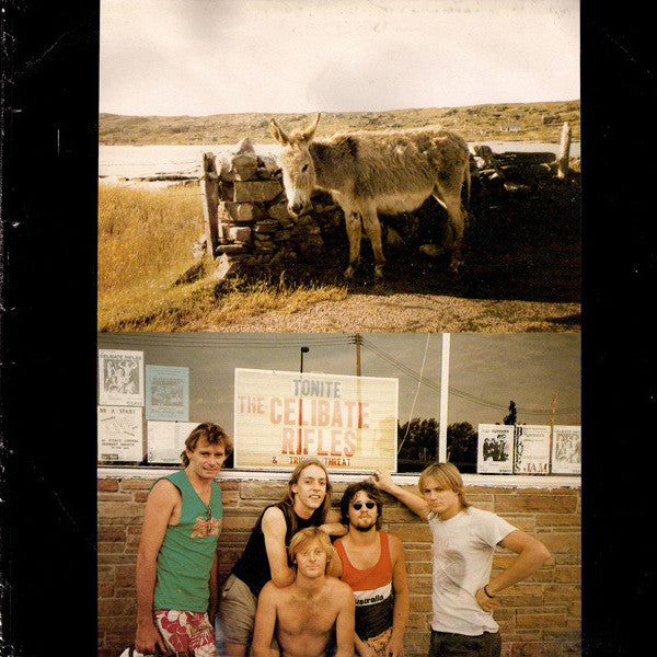 The Celibate Rifles : Kiss Kiss Bang Bang (LP, Album, Gat)