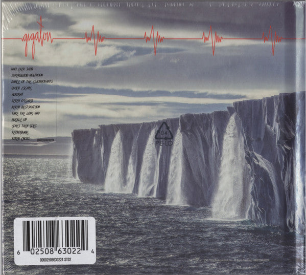 Pearl Jam : Gigaton (CD, Album)