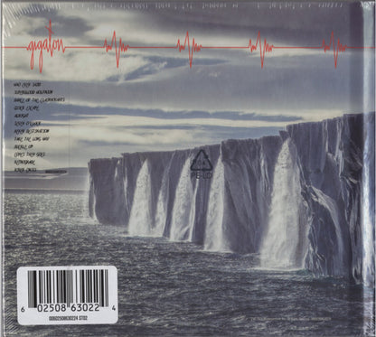 Pearl Jam : Gigaton (CD, Album)