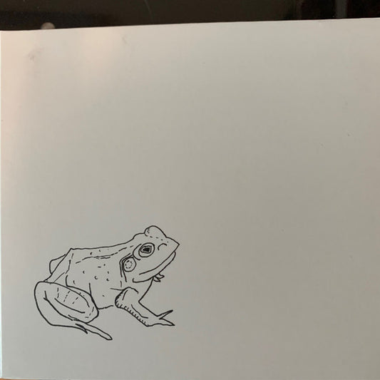 Aoife O'Donovan : Bull Frogs Croon (And Other Songs) (CD, EP)