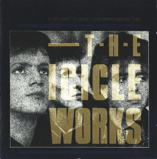 The Icicle Works : If You Want To Defeat Your Enemy Sing His Song (CD, Album)