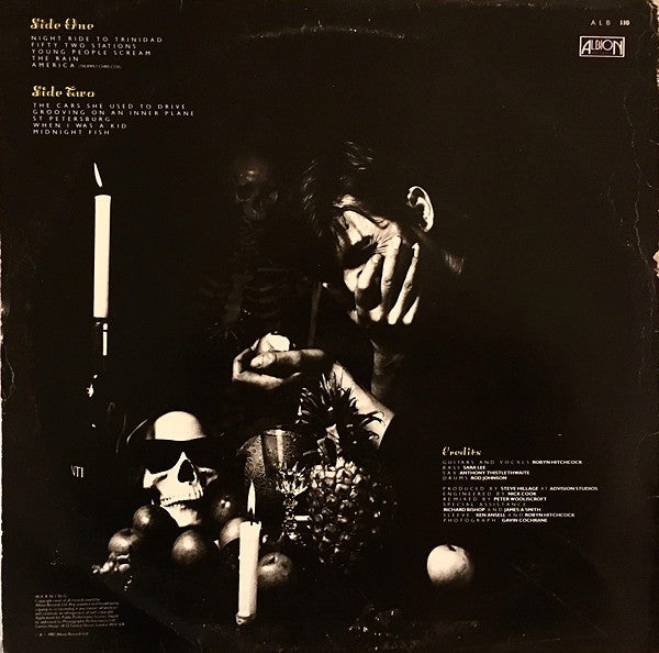 Robyn Hitchcock : Groovy Decay (LP, Album)