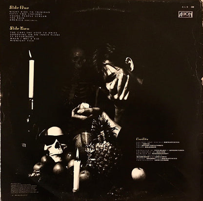 Robyn Hitchcock : Groovy Decay (LP, Album)