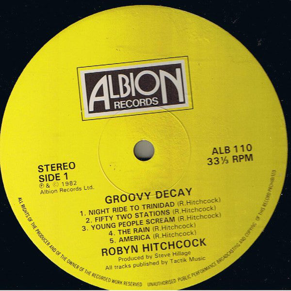 Robyn Hitchcock : Groovy Decay (LP, Album)