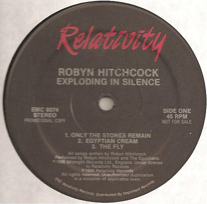 Robyn Hitchcock : Exploding In Silence (12", Promo)