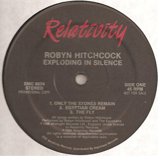 Robyn Hitchcock : Exploding In Silence (12", Promo)