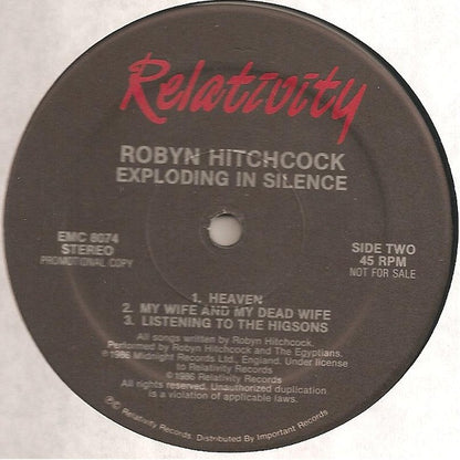 Robyn Hitchcock : Exploding In Silence (12", Promo)