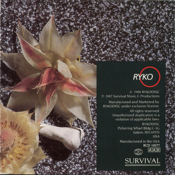The Screaming Tribesmen : Bones + Flowers (CD, Album)
