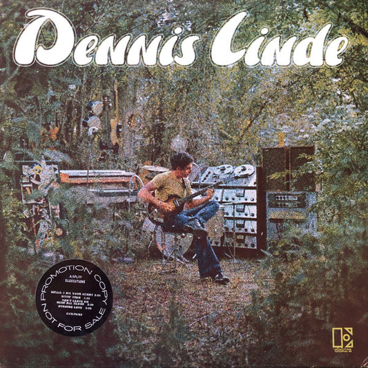 Dennis Linde : Dennis Linde (LP, Album, Promo)
