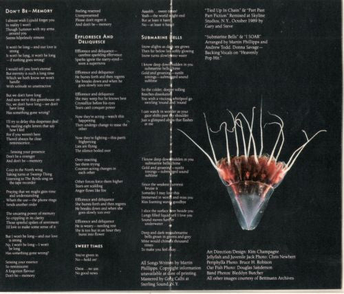 The Chills : Submarine Bells (Cass, Album)