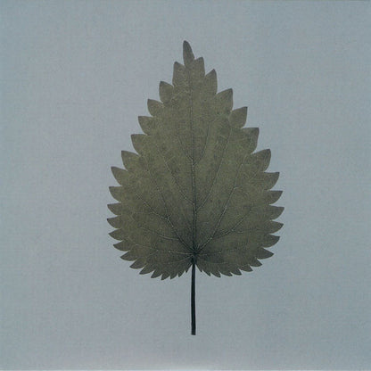 Depeche Mode : Freelove (CD, Single, Ltd)