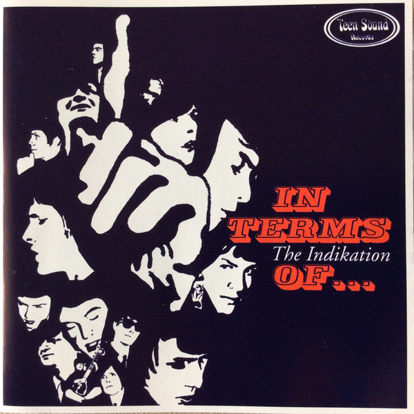 The Indikation : In Terms Of... (CD, Mono)