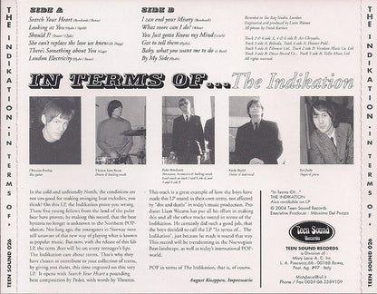 The Indikation : In Terms Of... (CD, Mono)