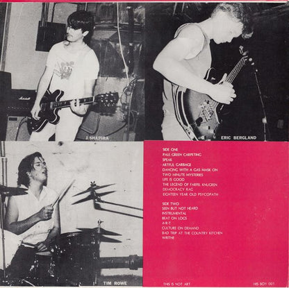 Boy Elroy : This Is Not Art (LP, Album)