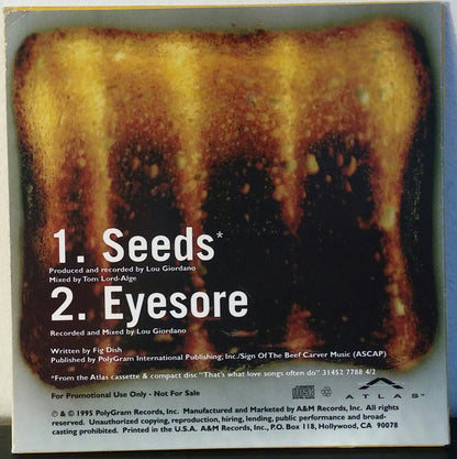 Fig Dish : Seeds / Eyesore (CD, Single, Promo)