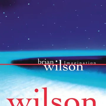 Brian Wilson - Imagination